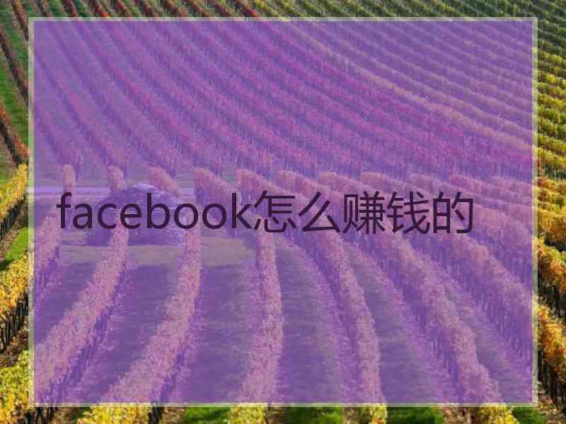 facebook怎么赚钱的