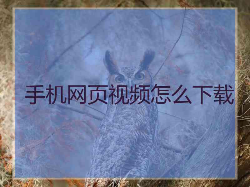 手机网页视频怎么下载