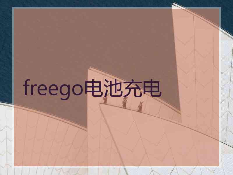 freego电池充电