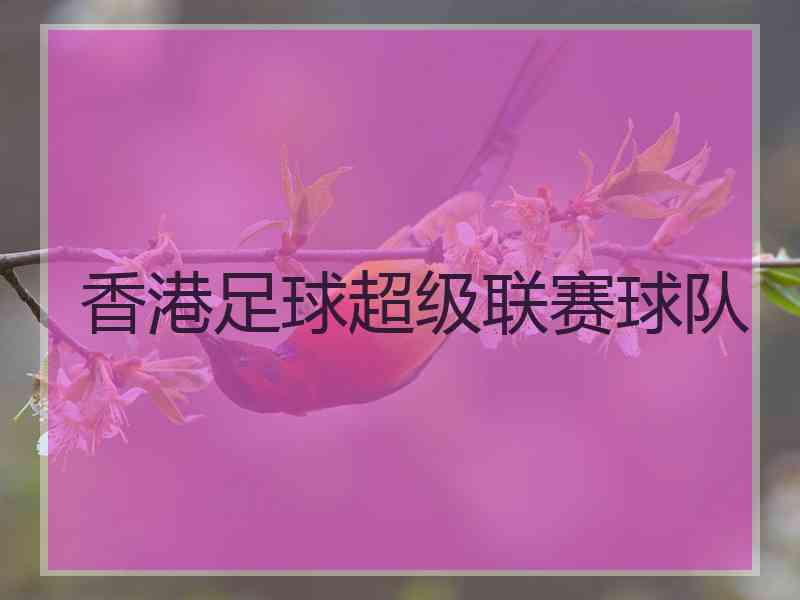 香港足球超级联赛球队