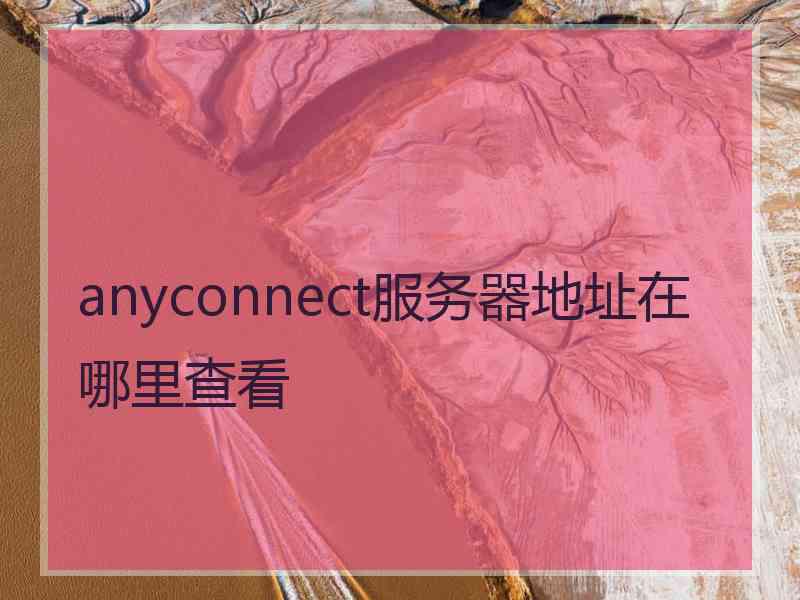 anyconnect服务器地址在哪里查看