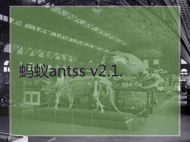 蚂蚁antss v2.1.