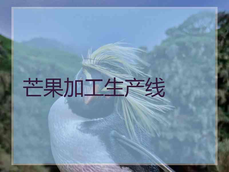 芒果加工生产线