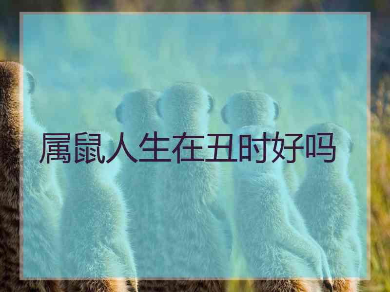 属鼠人生在丑时好吗