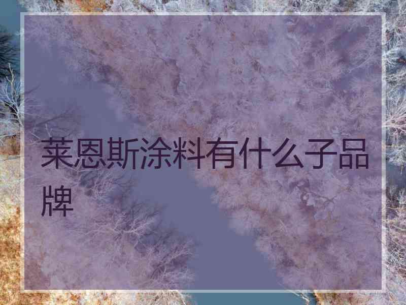 莱恩斯涂料有什么子品牌