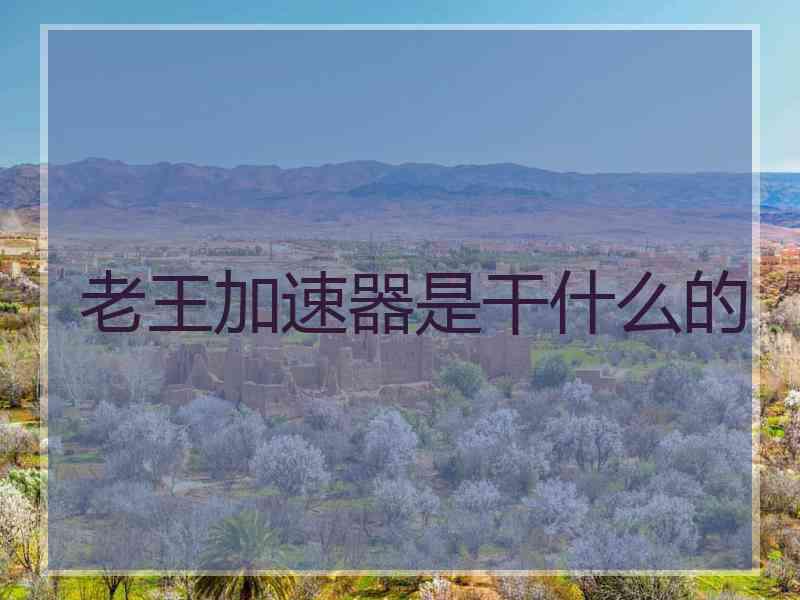 老王加速器是干什么的