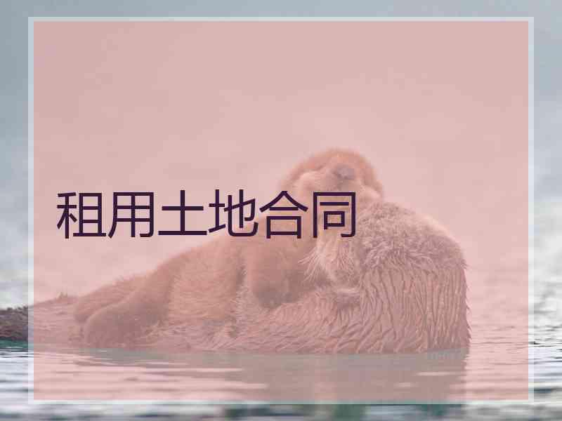 租用土地合同