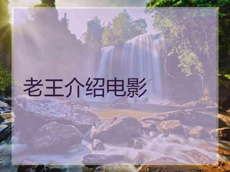 老王介绍电影