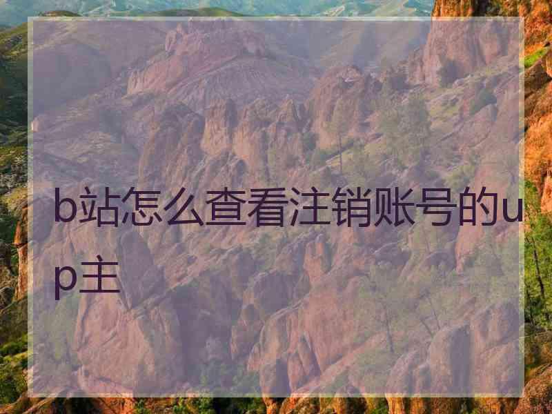 b站怎么查看注销账号的up主