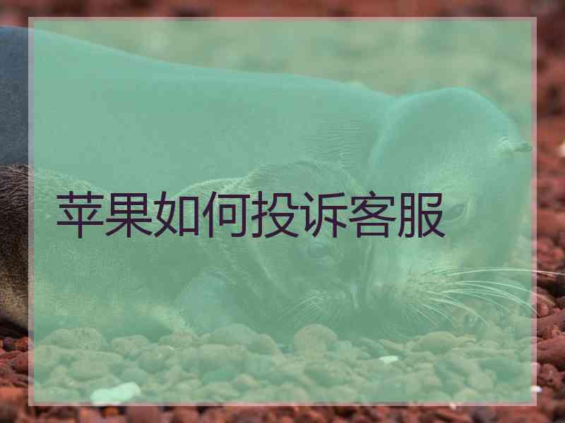 苹果如何投诉客服