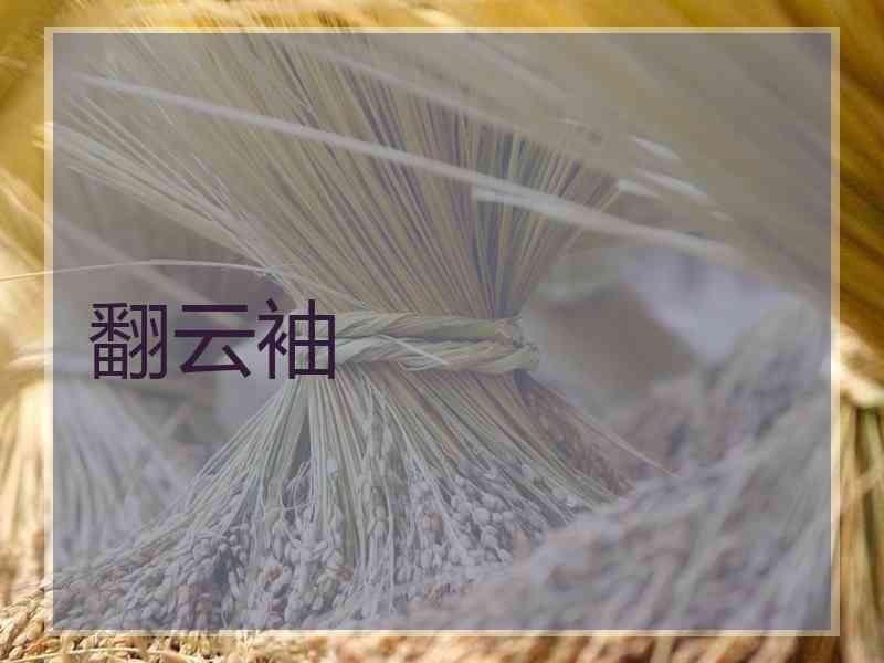 翻云袖