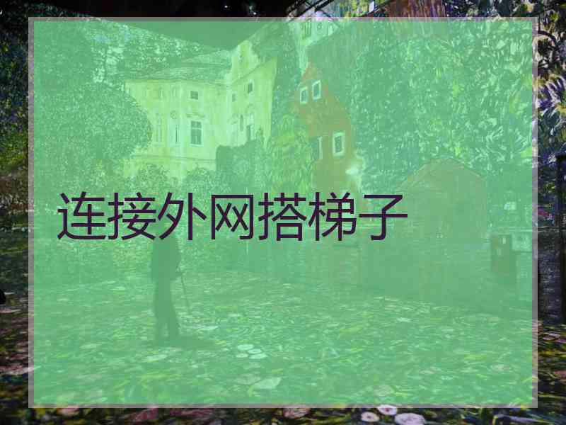 连接外网搭梯子