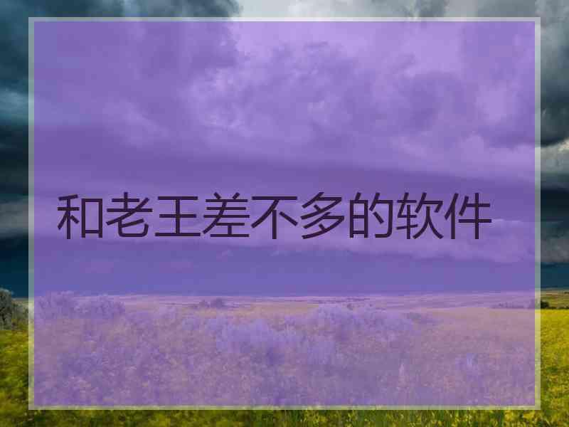 和老王差不多的软件