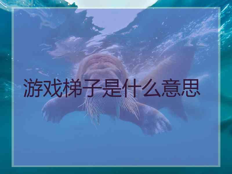 游戏梯子是什么意思