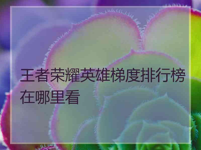 王者荣耀英雄梯度排行榜在哪里看