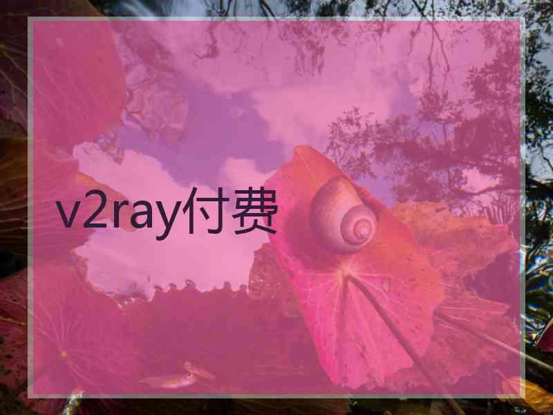 v2ray付费