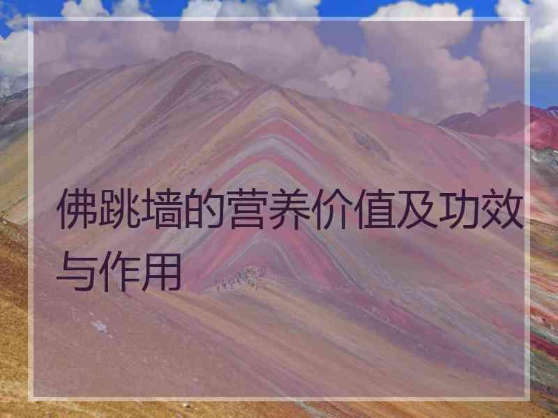 佛跳墙的营养价值及功效与作用