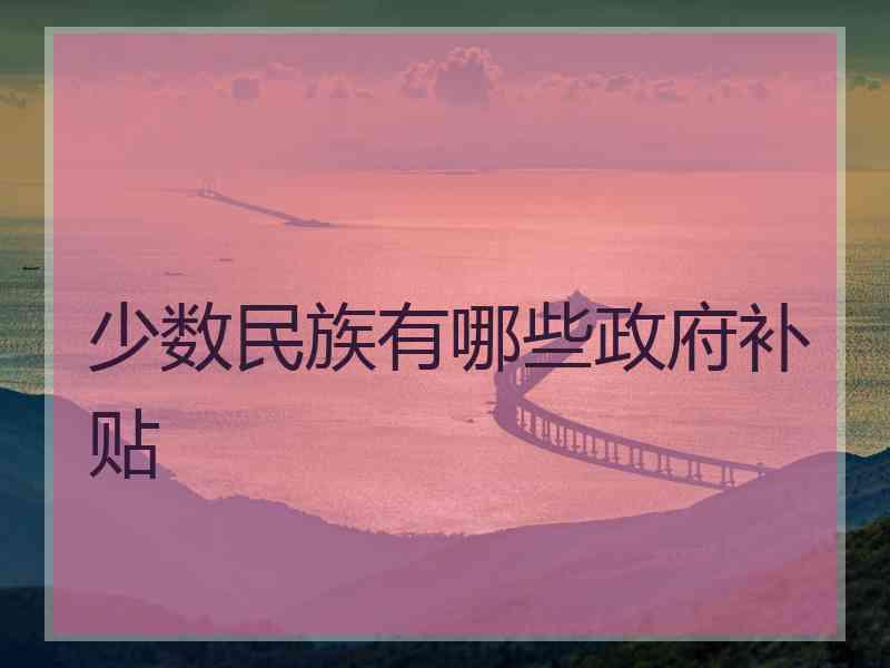 少数民族有哪些政府补贴