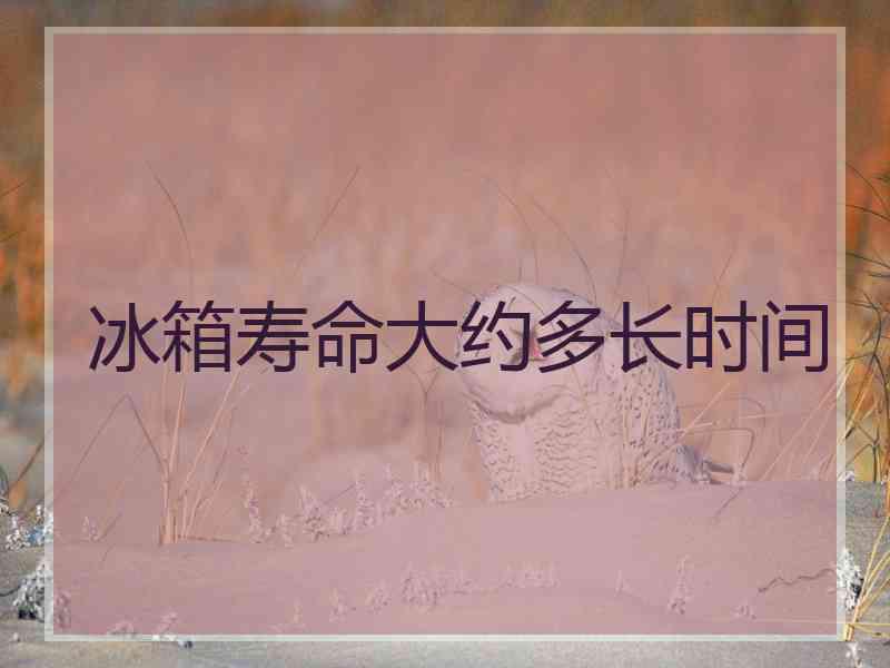冰箱寿命大约多长时间
