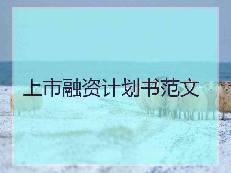 上市融资计划书范文