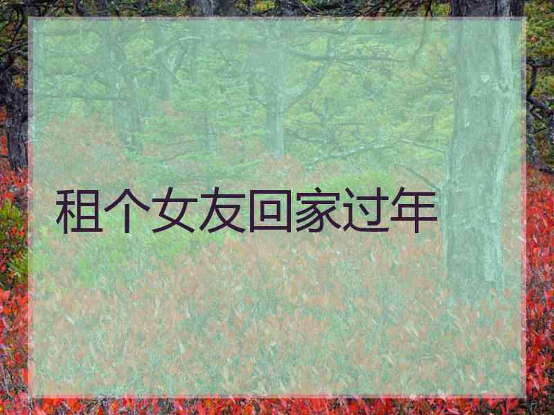 租个女友回家过年