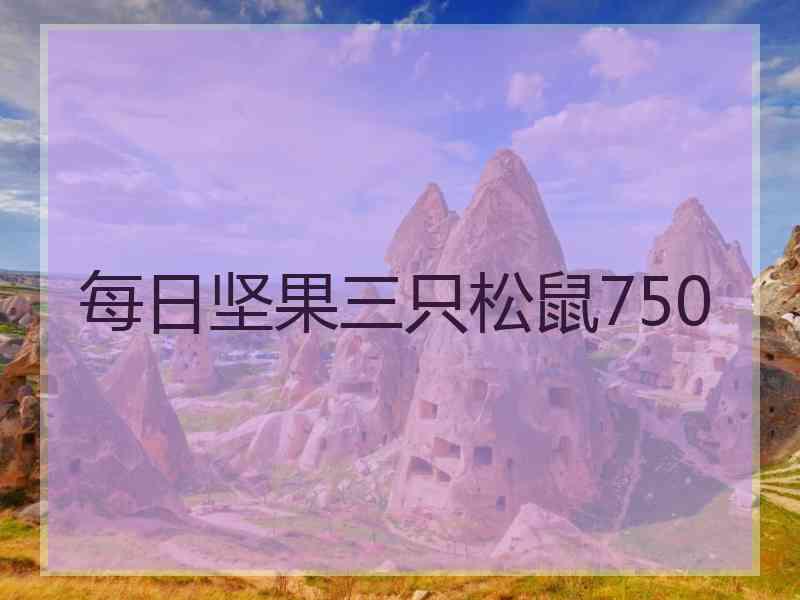 每日坚果三只松鼠750