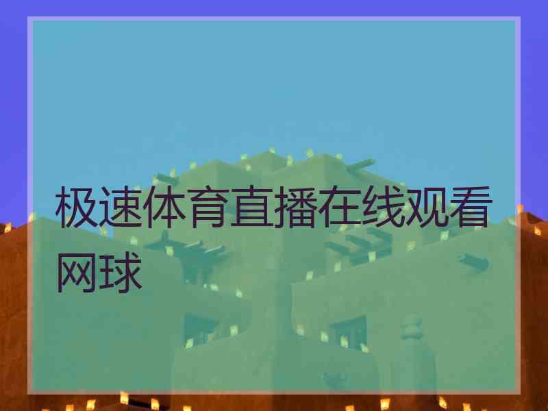 极速体育直播在线观看网球