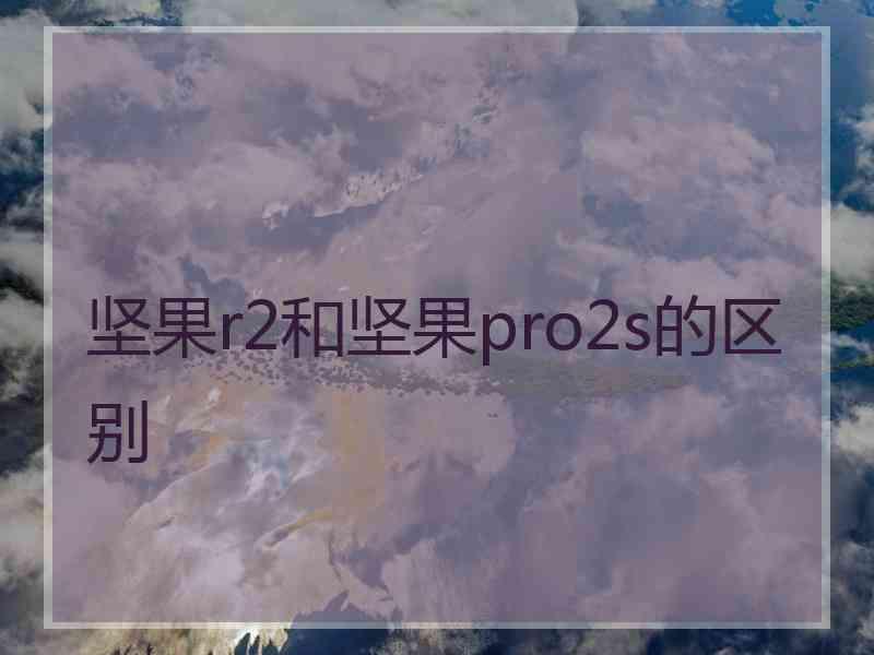 坚果r2和坚果pro2s的区别