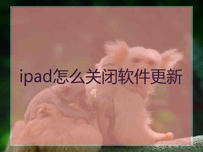 ipad怎么关闭软件更新