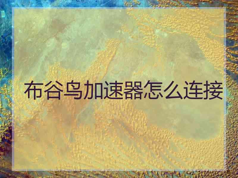 布谷鸟加速器怎么连接