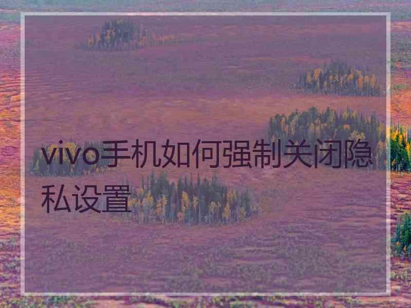 vivo手机如何强制关闭隐私设置