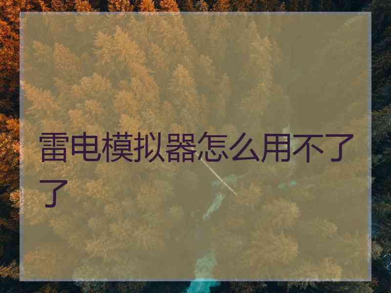 雷电模拟器怎么用不了了