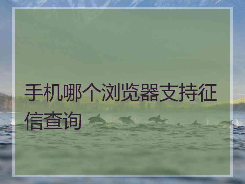 手机哪个浏览器支持征信查询
