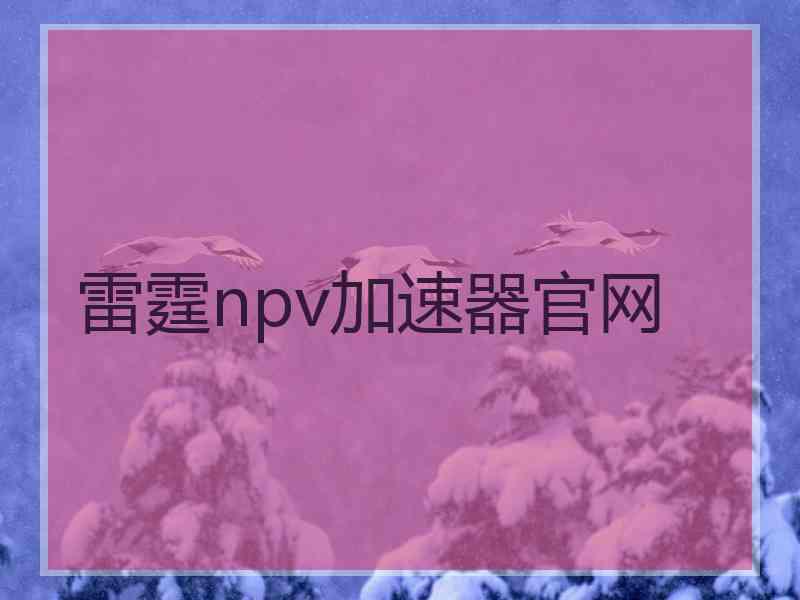 雷霆npv加速器官网