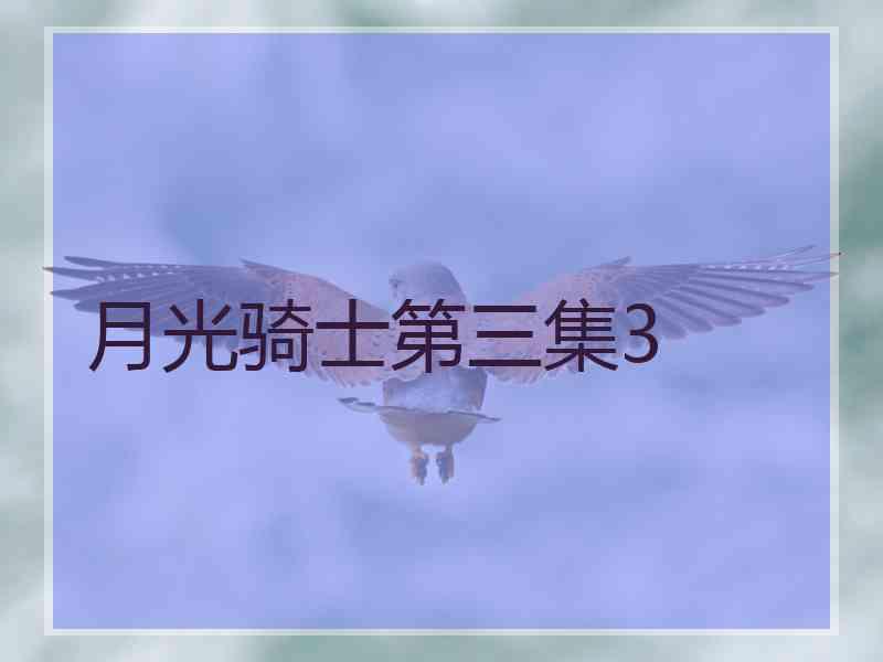 月光骑士第三集3