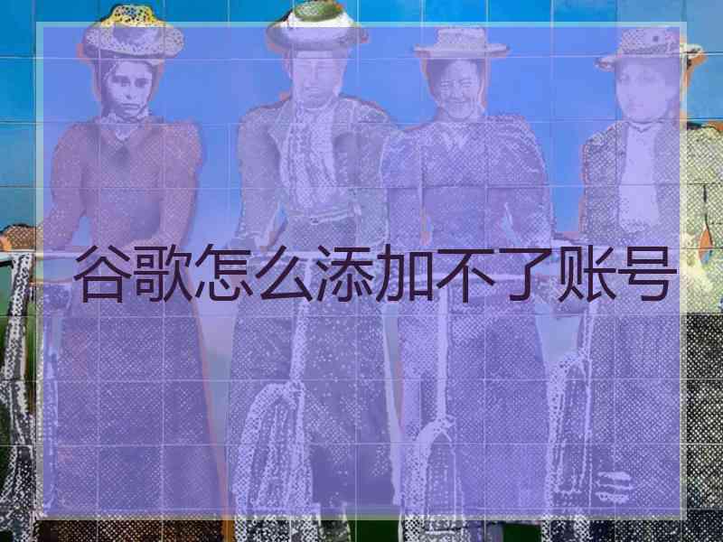 谷歌怎么添加不了账号