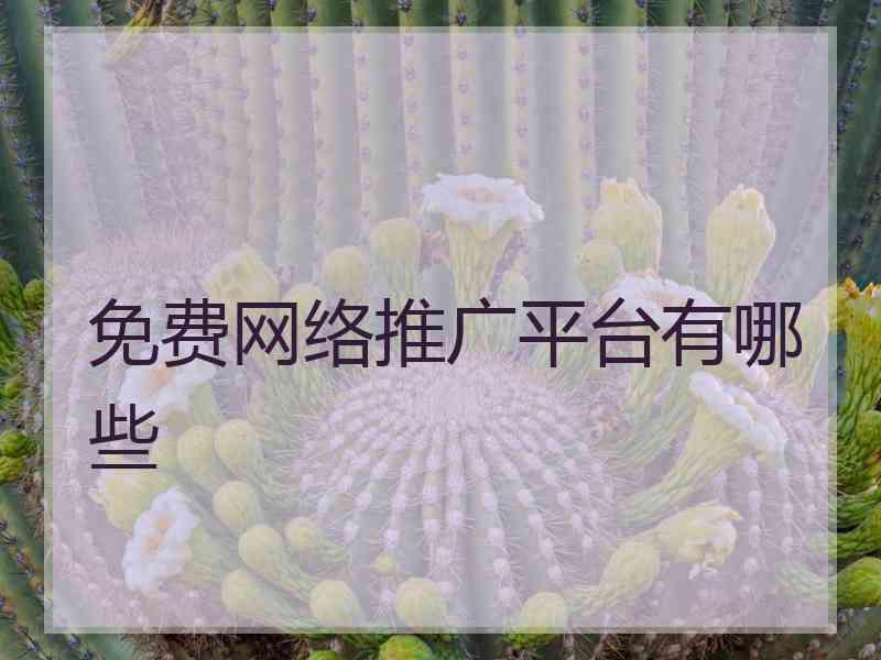 免费网络推广平台有哪些