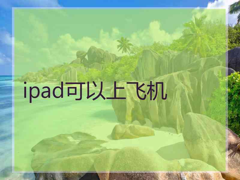 ipad可以上飞机
