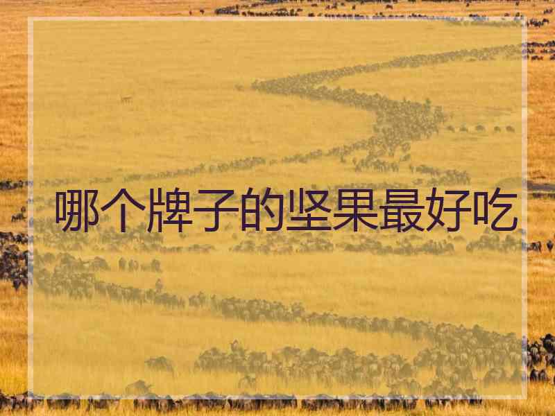 哪个牌子的坚果最好吃