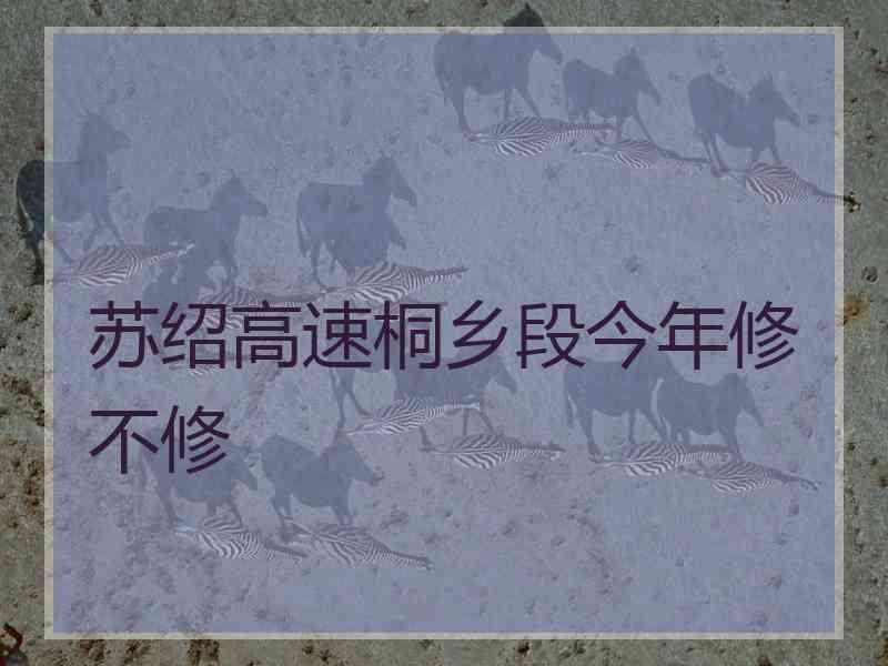 苏绍高速桐乡段今年修不修