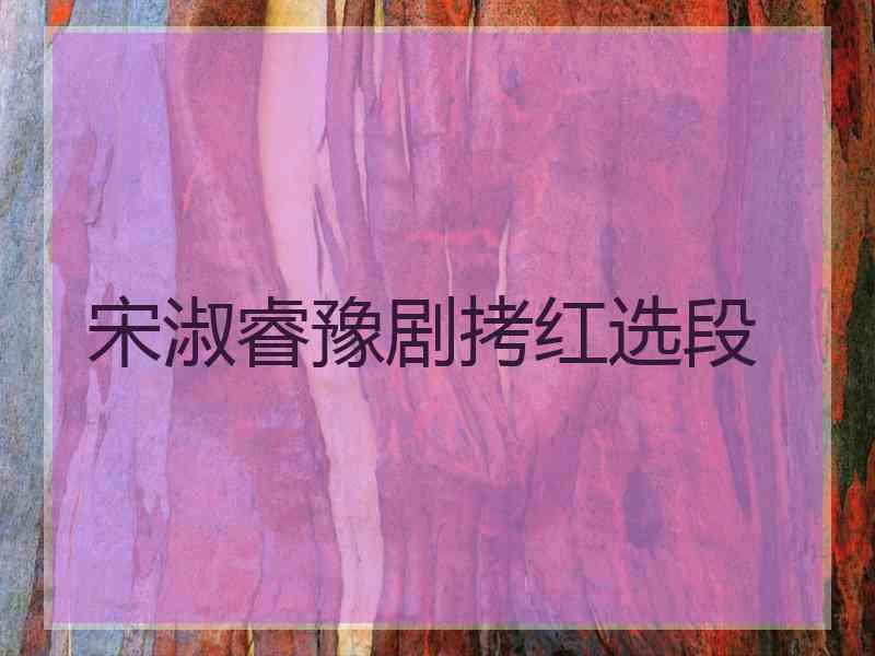 宋淑睿豫剧拷红选段