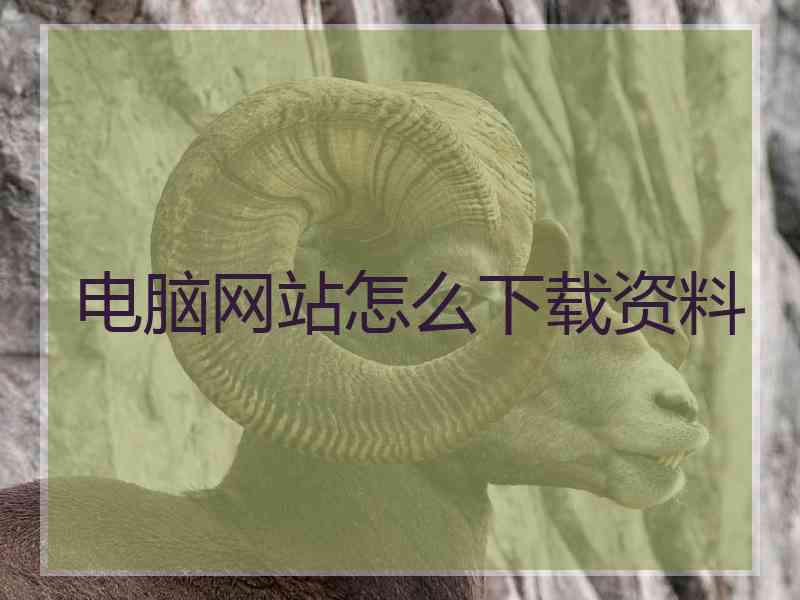 电脑网站怎么下载资料