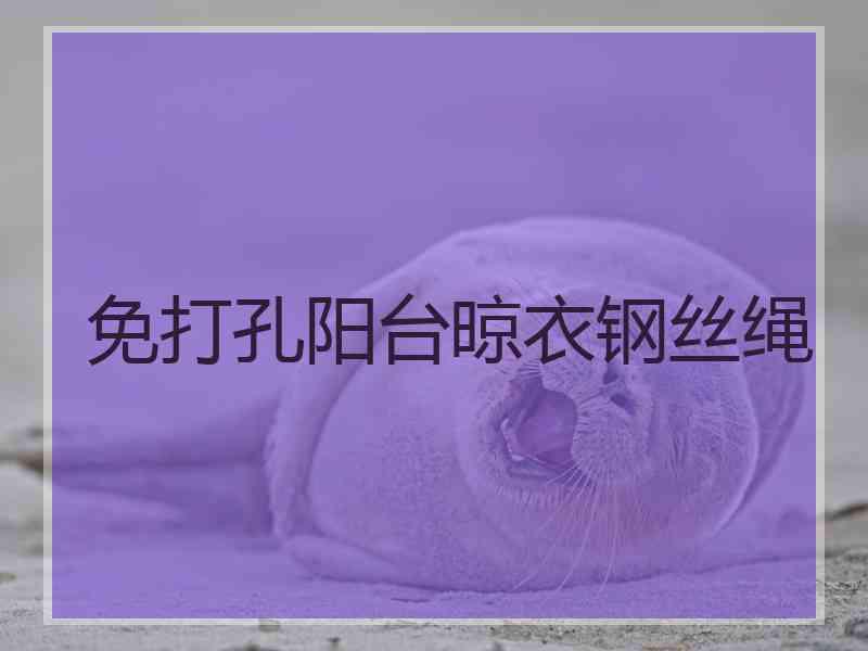 免打孔阳台晾衣钢丝绳
