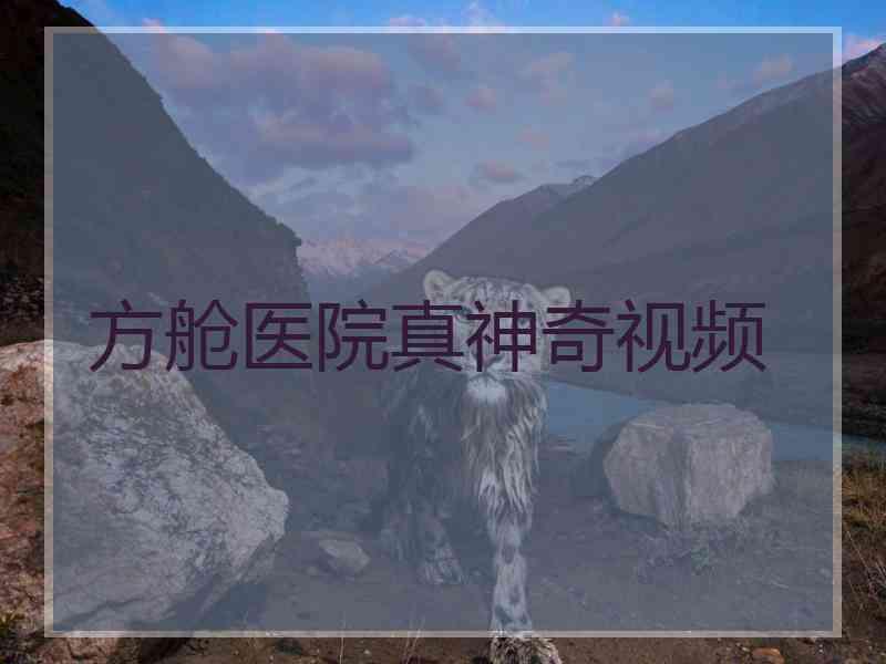 方舱医院真神奇视频