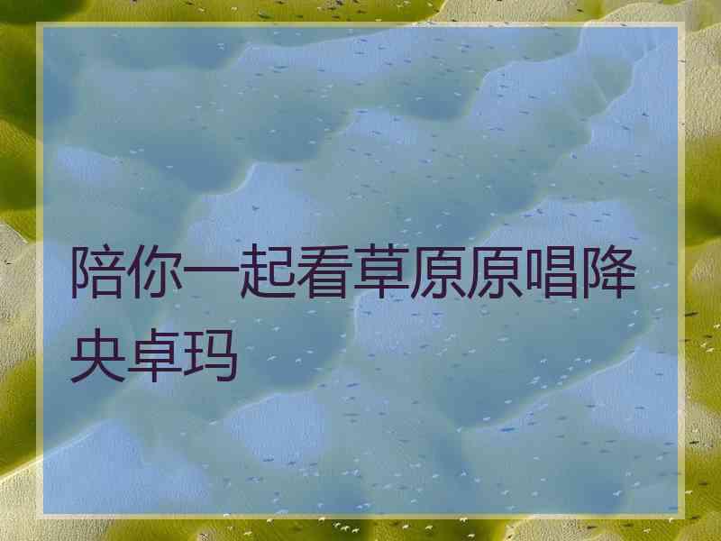 陪你一起看草原原唱降央卓玛