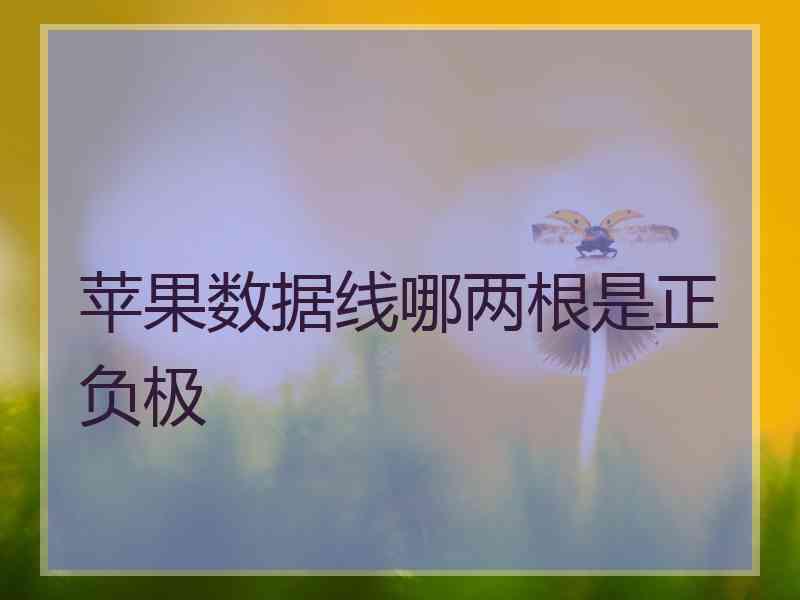 苹果数据线哪两根是正负极