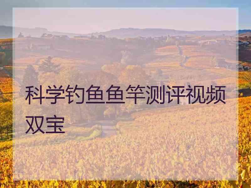 科学钓鱼鱼竿测评视频双宝