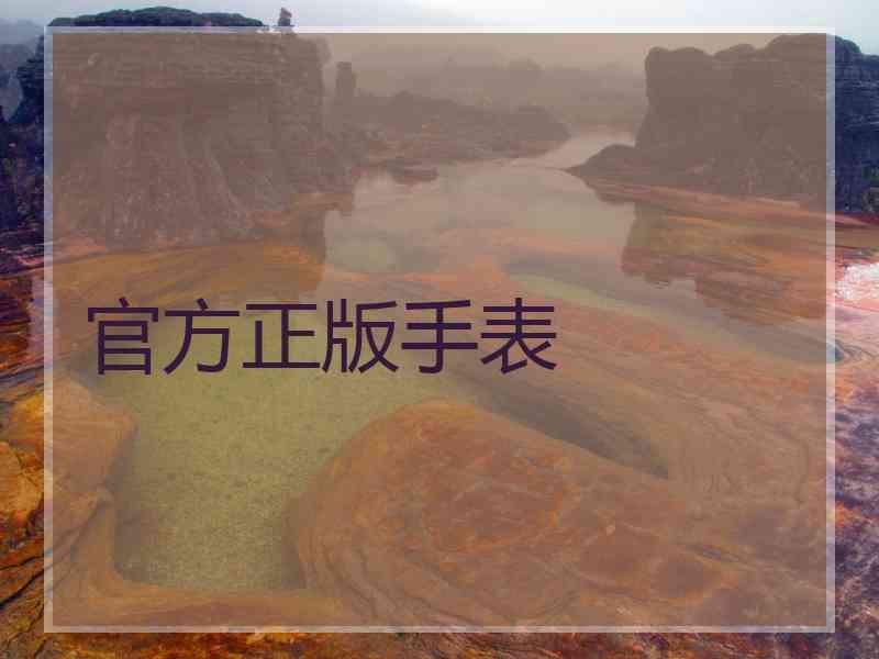 官方正版手表