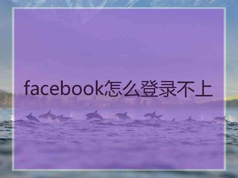 facebook怎么登录不上
