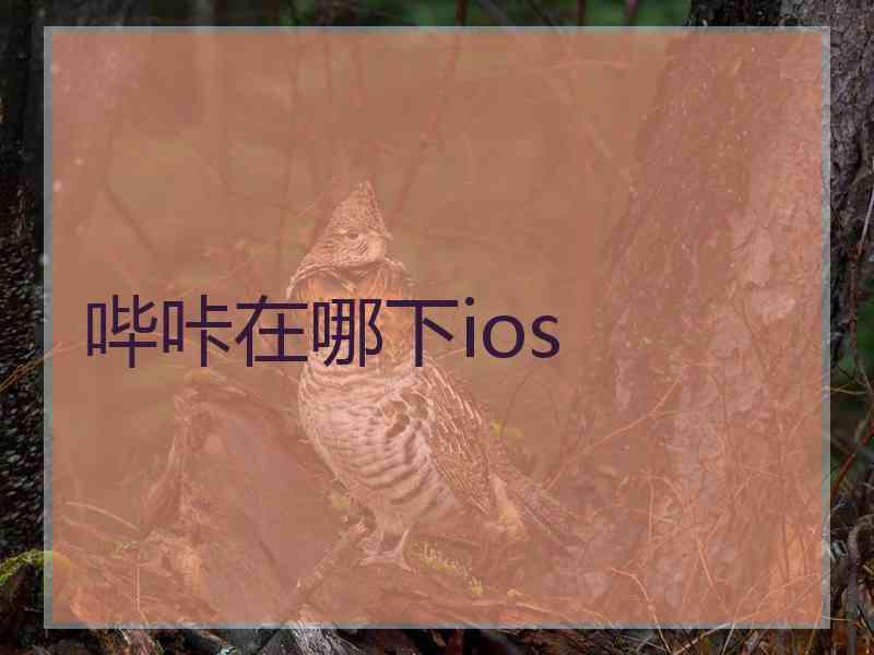 哔咔在哪下ios